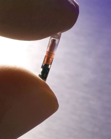 baha club rfid chip to enter|RFIDs for VIPs: Spain's Baja Beach Club Implants Its .